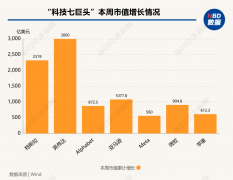 硅谷成大选赢家！​七巨头市值一周增9000亿美元