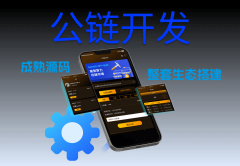 解锁数字化未来：公链开发如何重塑信任与协作