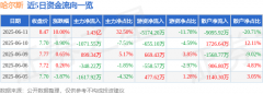6月11日哈尔斯涨停：NFTIP经济谷子经济外贸受益概
