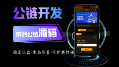 公链:构筑数字未来的基石