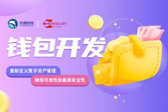 公链钱包开发：解锁企业级数字资产管理的密钥